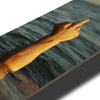 SKATE DECK FUCK FROM THE OCEAN