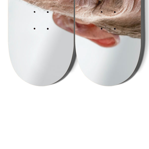 SKATE DECKS MY HOMIE